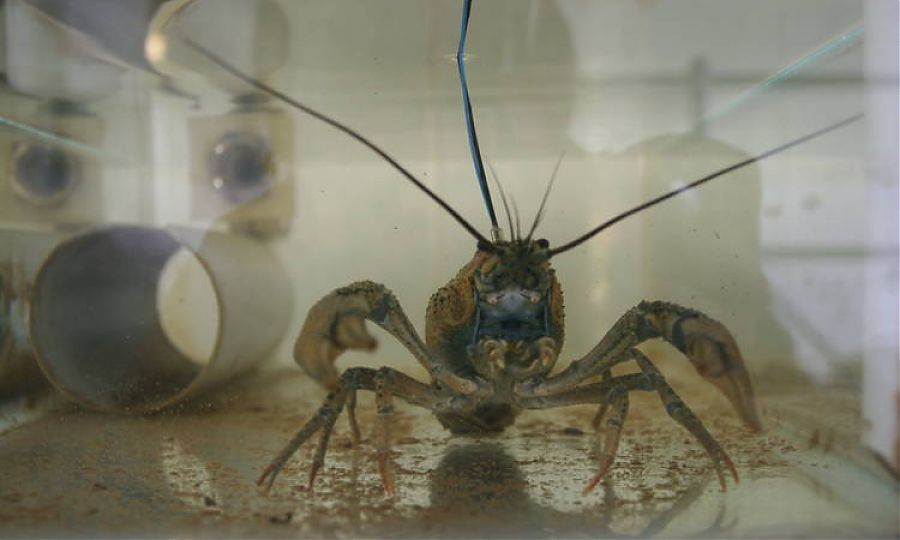 pic2_1_900_540_5_80.jpg pic2_1_900_540_5_80.jpg